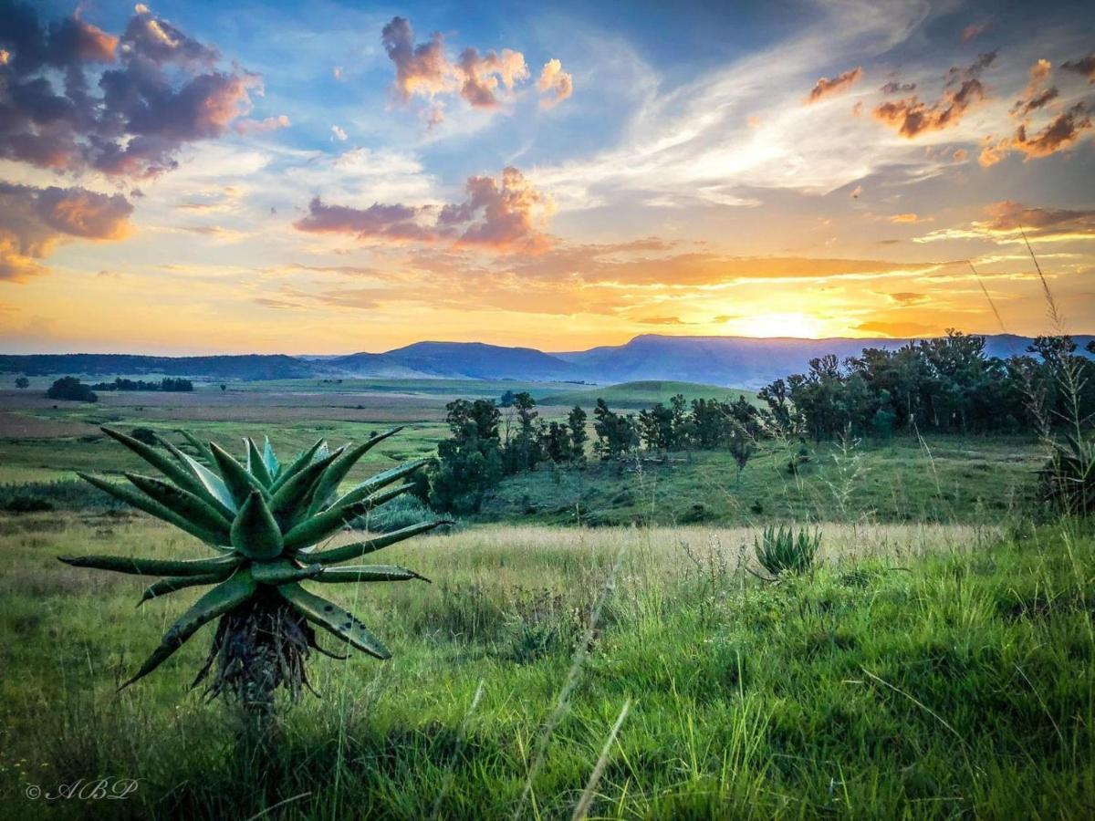 Grey Goose Game Lodge Newcastle Buitenkant foto